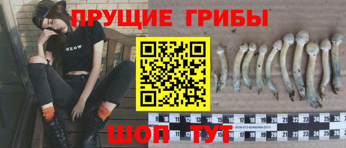 Химки  Псилоцибиновые грибы мицелий  Вход с VPN 